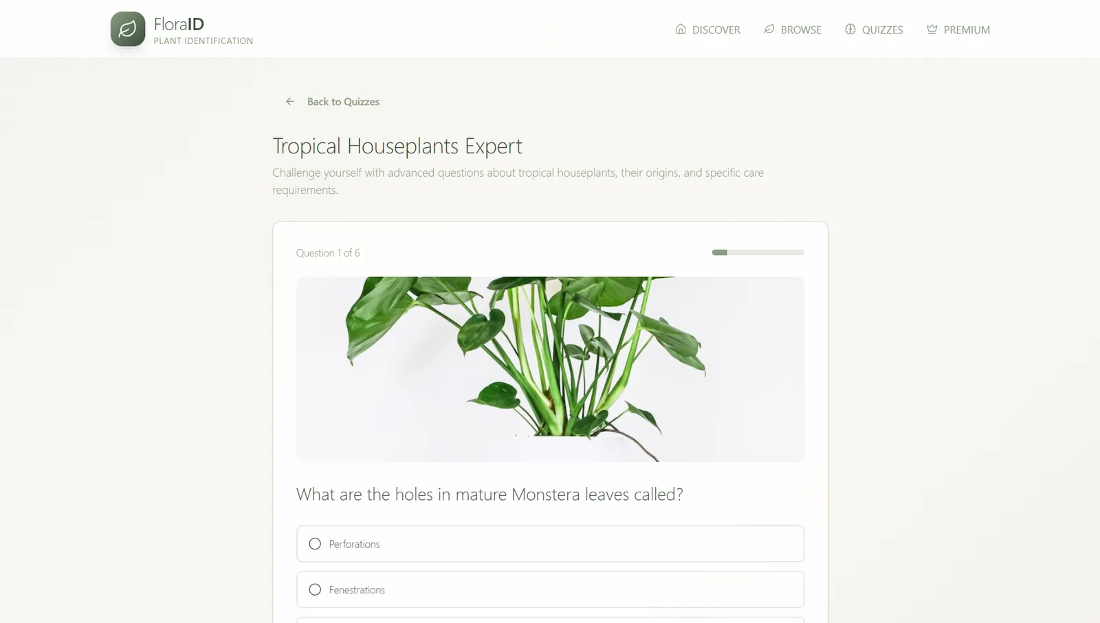 Flora-ID screenshot 5